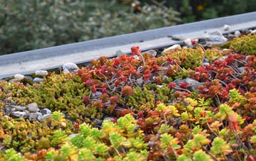 the cost of Cwmcoednerth green roof installation
