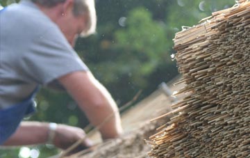 professional Cwmcoednerth thatchers